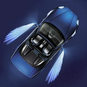 Car/bike Angel Wings Lights